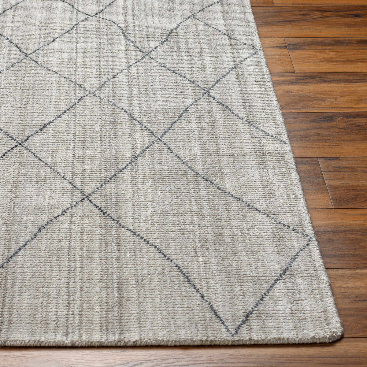 Nari Light Gray Area Rug - Clearance