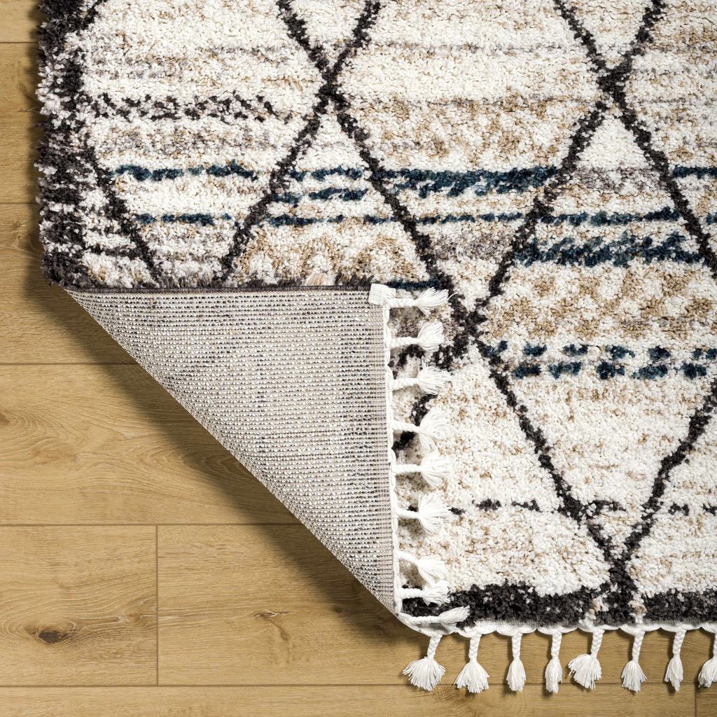 Gomez Area Rug - Clearance