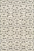 Aeron Area Rug - Clearance