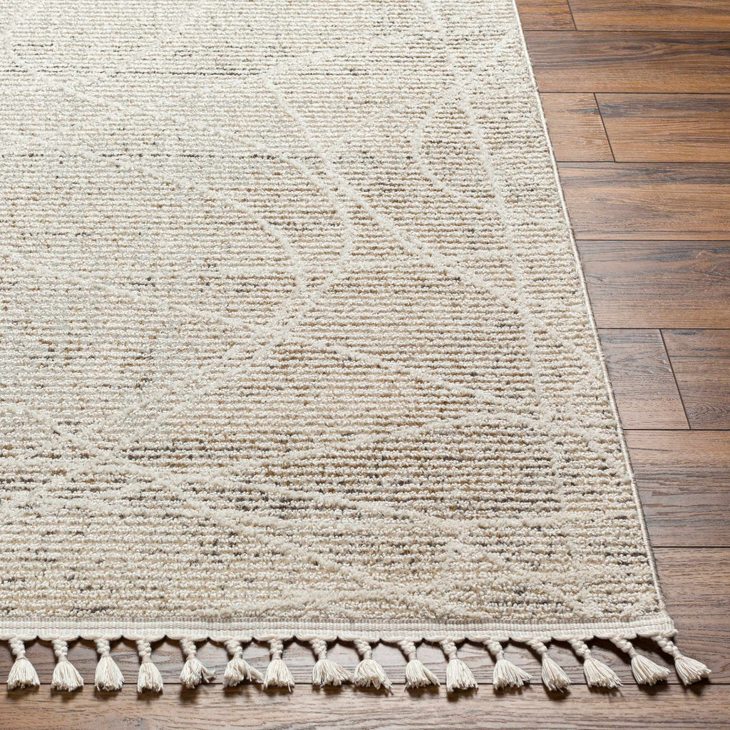 Huong Area Rug - Clearance