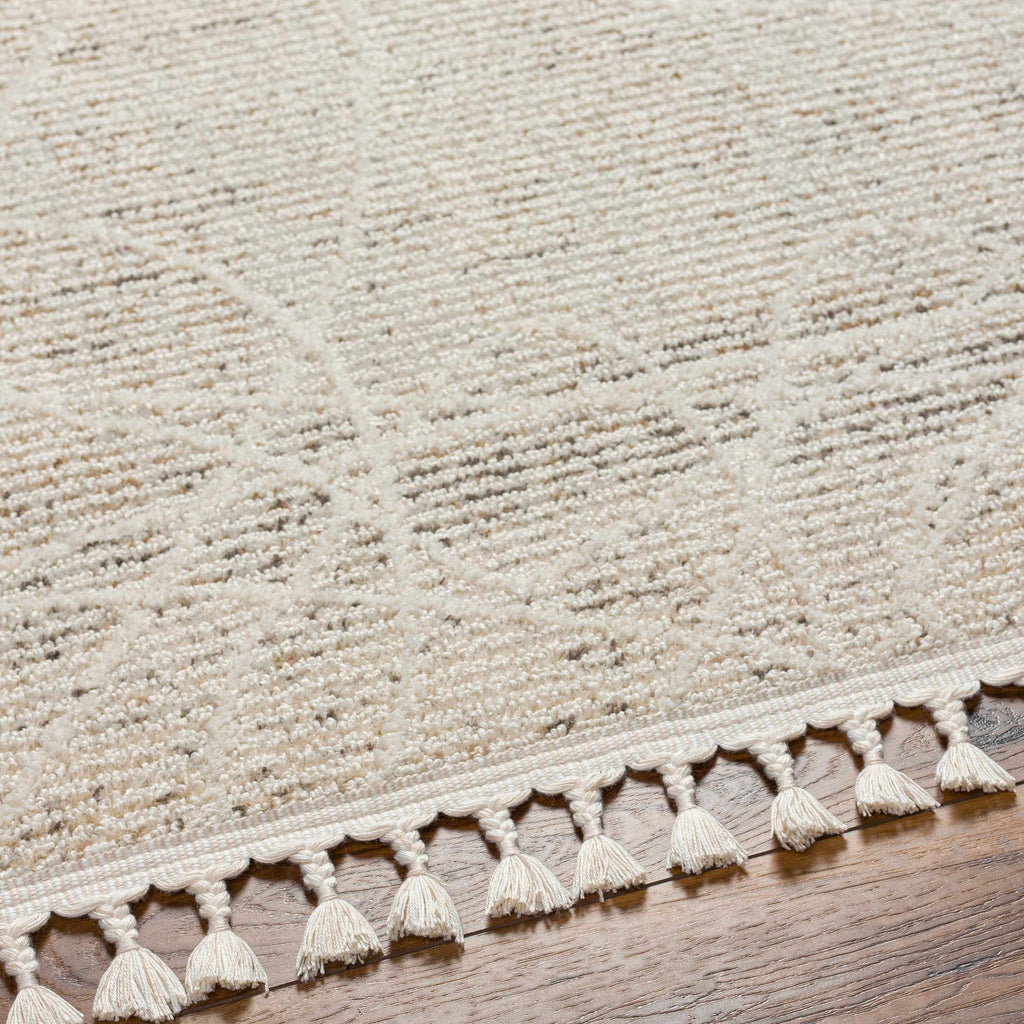 Huong Area Rug - Clearance