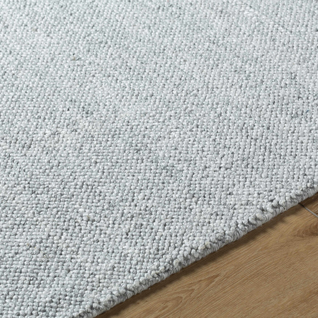 Zareh Gray Blue Solid Area Rug - Clearance